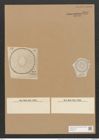 Campylodiscus browneanus var. rotula (Grun.) (de-Toni-Nr.: Genus 57, Species 2472) Zeichnungen Sammlung Grunow Nr. 4976 (NHMW-BOT-W0373210)